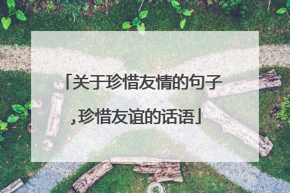 关于珍惜友情的句子,珍惜友谊的话语