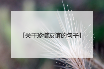 关于珍惜友谊的句子