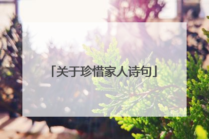 关于珍惜家人诗句