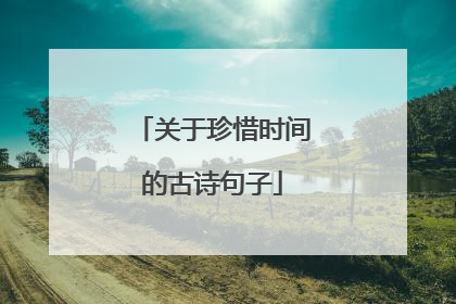 关于珍惜时间的古诗句子