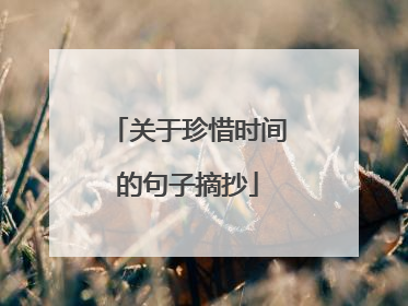 关于珍惜时间的句子摘抄
