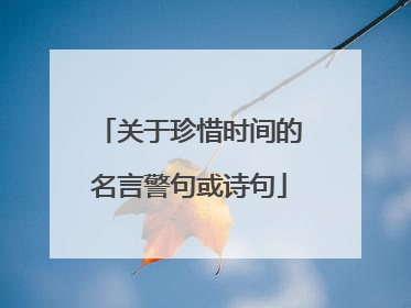 关于珍惜时间的名言警句或诗句