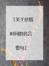 关于珍惜时间的名言警句