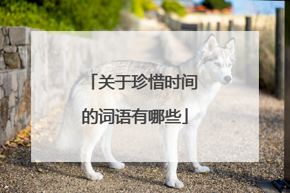 关于珍惜时间的词语有哪些