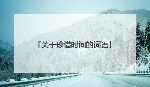 关于珍惜时间的词语
