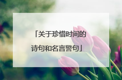 关于珍惜时间的诗句和名言警句