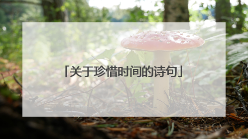 关于珍惜时间的诗句