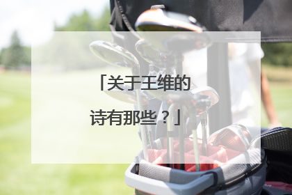 关于王维的诗有那些？