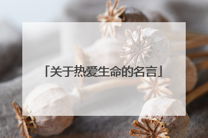 关于热爱生命的名言