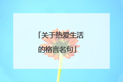 关于热爱生活的格言名句