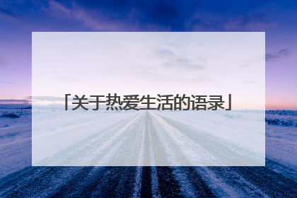 关于热爱生活的语录