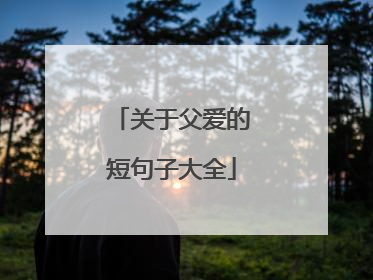关于父爱的短句子大全