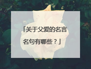 关于父爱的名言名句有哪些？