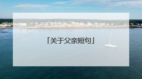 关于父亲短句