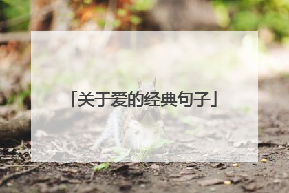 关于爱的经典句子