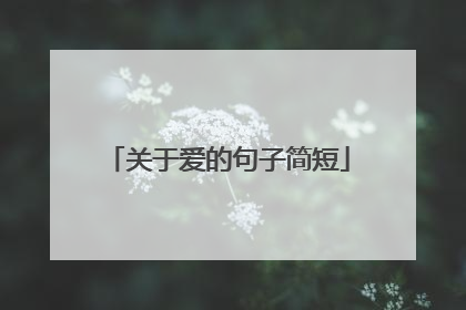 关于爱的句子简短