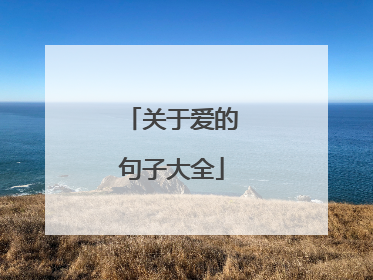 关于爱的句子大全