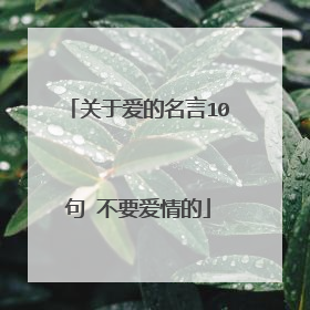 关于爱的名言10句 不要爱情的