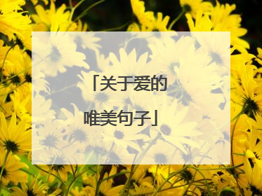 关于爱的唯美句子