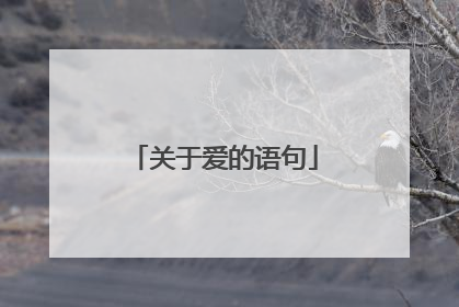 关于爱的语句