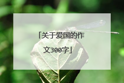 关于爱国的作文300字