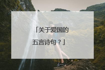 关于爱国的五言诗句？