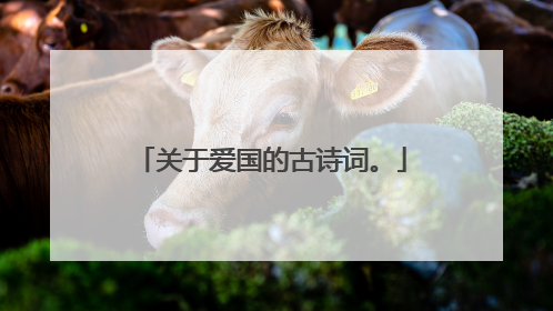 关于爱国的古诗词。