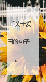 关于爱国的句子。