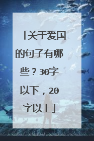 关于爱国的句子有哪些?30字以下,20字以上