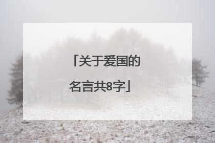 关于爱国的名言共8字