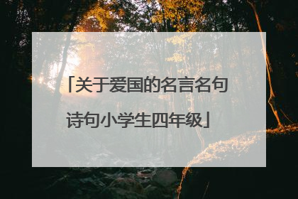 关于爱国的名言名句诗句小学生四年级