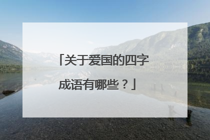 关于爱国的四字成语有哪些？