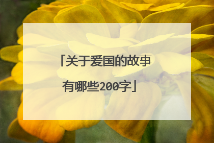 关于爱国的故事有哪些200字