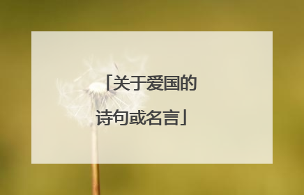 关于爱国的诗句或名言