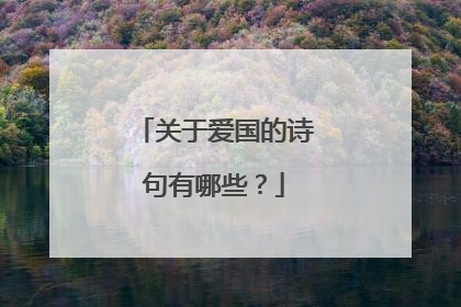 关于爱国的诗句有哪些？