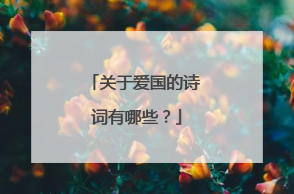 关于爱国的诗词有哪些？