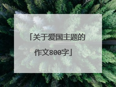 关于爱国主题的作文800字