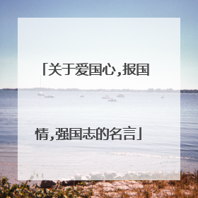 关于爱国心,报国情,强国志的名言