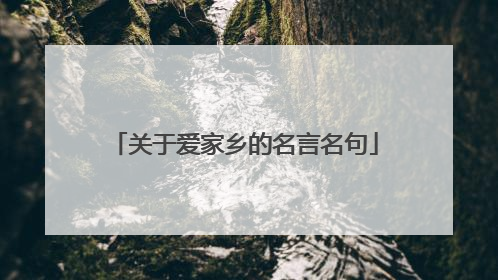 关于爱家乡的名言名句