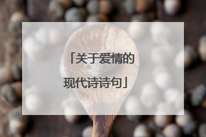 关于爱情的现代诗诗句