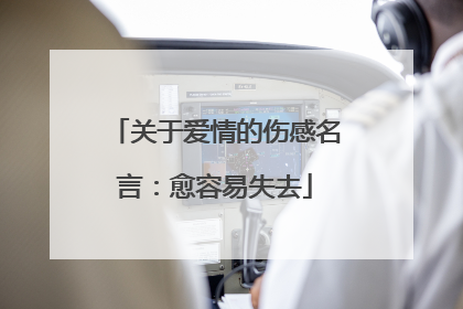 关于爱情的伤感名言：愈容易失去
