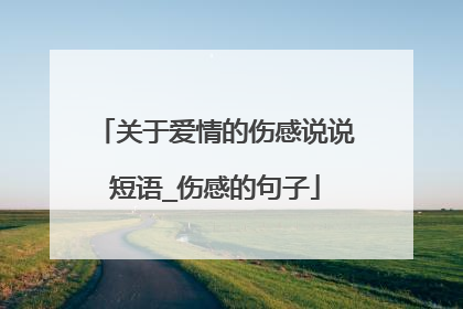 关于爱情的伤感说说短语_伤感的句子