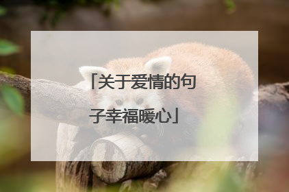 关于爱情的句子幸福暖心
