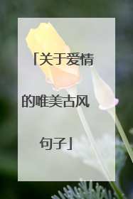 关于爱情的唯美古风句子