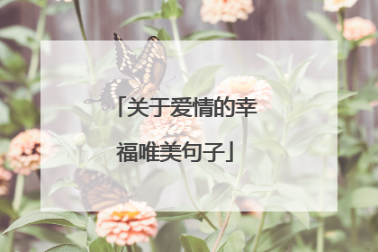 关于爱情的幸福唯美句子