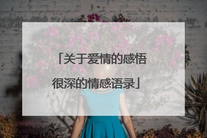 关于爱情的感悟很深的情感语录