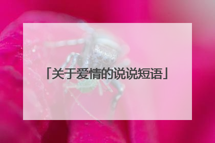 关于爱情的说说短语