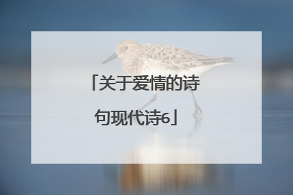 关于爱情的诗句现代诗6