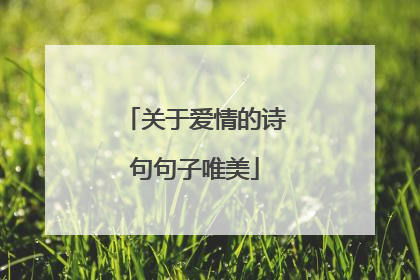 关于爱情的诗句句子唯美