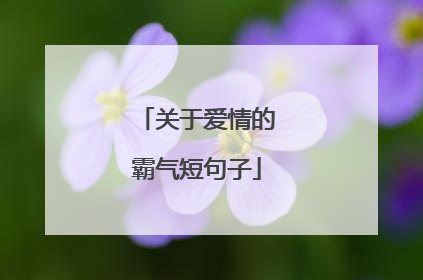 关于爱情的霸气短句子